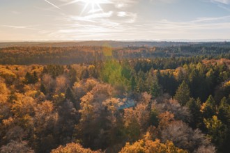 Extensive view of an autumnal forest under a clear sky, Gechingen, Calw district, Germany
