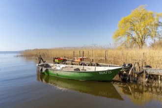 Fishing boat moored at wooden jetty at the Lieper Winkel peninsula near Rankwitz on Usedom island