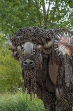 Close-up of life-size bison metal sculpture made out of discarded farm equipment, chains and bronze