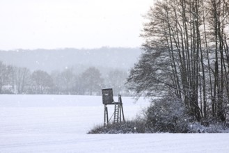 Raised hide, hunting blind, deerstand, deer stand in snow covered field at edge of forest during