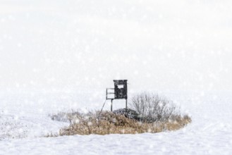 Raised hide, hunting blind, deerstand, deer stand in snow covered field during snow shower in