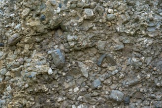 Close-up of conglomerate rock of menhir, standing stone showing clasts and matrix at Wéris,