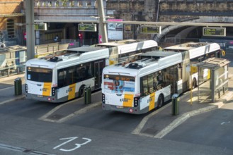 Two commuter buses at bus stop of public transport company De Lijn at train station