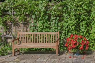 Wooden bench in front of a brick wall and lots of green plants, Münsterland, North