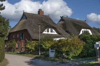 Thatched houses in Ahrenshoop, Darß, Mecklenburg-Western Pomerania, Germany