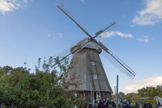 Café guests of a historic windmill, now café, Ahrenshoop, Darß, Mecklenburg-Western Pomerania,