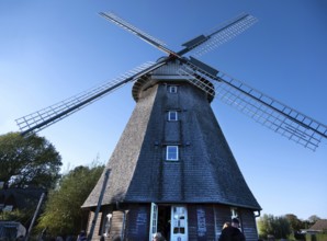 Historic windmill, now café, Ahrenshoop, Darß, Mecklenburg-Vorpommern, Germany