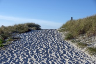 Sandweg zum Ostseestrand, Ahrenshoop, Darß, Mecklenburg-Western Pomerania, Germany