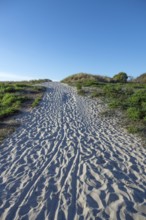 Sandweg zum Ostseestrand, Ahrenshoop, Darß, Mecklenburg-Western Pomerania, Germany