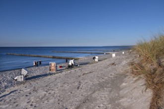 Beach chairs on beaches and groves in the Baltic Sea, Ahrenshoop, Darß, Mecklenburg-Western