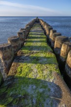 Grooves in the Baltic Sea, Ahrenshoop, Darß, Mecklenburg-Western Pomerania, Germany