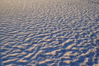 Sand structures on the Baltic Sea beach in evening light, Ahrenshoop, Darß, Mecklenburg-Western
