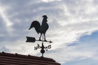 Weather vane on roof against cloudy sky, characterful atmosphere, Baden-Württemberg, Germany