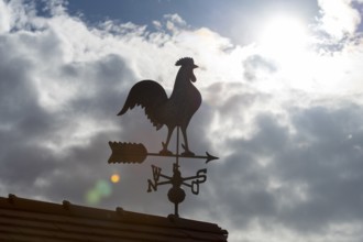 A weather vane in the sun with dark clouds in the sky as a background, Baden-Württemberg, Germany