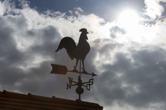 Sunlit weather vane in front of dramatic cloud formations, Baden-Württemberg, Germany