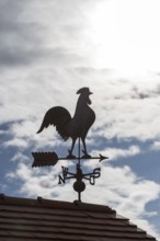 Silhouetted weather vane on a roof with clouds and sky in the background, Baden-Württemberg,