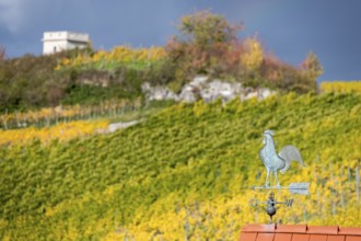 Weather vane on a roof in front of an autumnal vineyard and overcast sky, Baden-Württemberg,