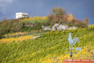 Weather vane in front of an autumnal vineyard and hills, colorful colors, Baden-Württemberg,