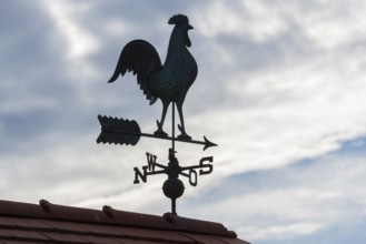 Weather vane on roof with cloudy sky looks atmospheric, Baden-Württemberg, Germany
