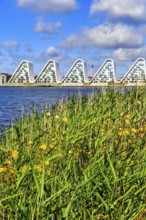 View over grasses and the shore of the fjord to the wave-shaped residential complex Bølgen, Die