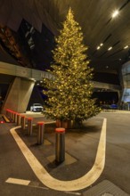 Illuminated Christmas tree in front of BMW World, Petuelring, Munich, Upper Bavaria, Bavaria,
