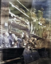 Capuchin Crypt, Le Catacombe dei Cappuccini, extensive crypt complex under the Capuchin monastery