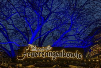 Sales stand for Feuerzangenbowle, above a deciduous tree illuminated with blue light,