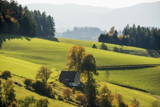 Near St. Peter, Southern Black Forest, Black Forest, Baden-Württemberg, Germany