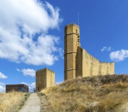 Castle and palace ruin in medieval village of Uncastillo, Cinco Villas, Zaragoza province, Aragon,