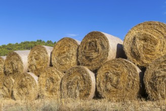 Round rolls straw bales piled in field against blue sky, near Uncastillo, Cinco Villas, Zaragoza