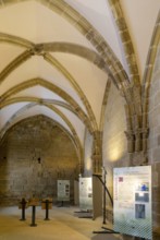 Interior of Palace of Pedro IV ruin medieval village of Uncastillo, Cinco Villas, Zaragoza