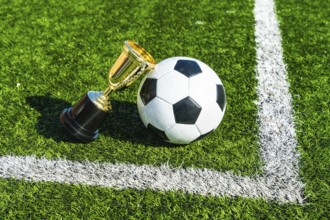 Soccer ball standing beside a gold champion trophy on a vibrant green artificial turf field with