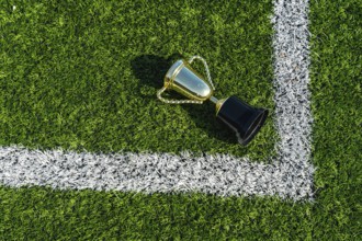 Golden champion trophy lying on the green artificial grass of a football or soccer field with white