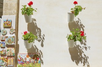 Flowers pots, Ragusa Ibla, Ragusa province, Sicily, Italy