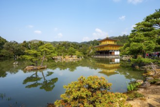 Golden Pavilion reflected in pond, Japanese garden, Golden Pavilion Temple, Kinkaku-ji reliquary,