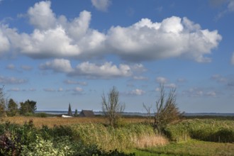 View of the lagoon with a strip of reeds and a fishing hut, Ahrenshoop, Darß, Mecklenburg-Western