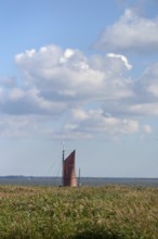 Zeesboot im Bodden, historic fishing boat, today for tourist ferries, reeds in front, Ahrenshoop,