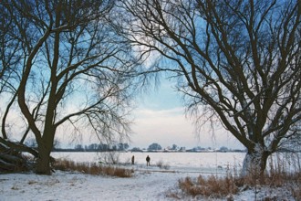 People walk across ice rink, trees, frozen Elbe, Bleckede, Lower Saxony, Germany, January 03, 1997,