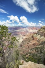 Beautiful landscape of the grand canyon, arizona