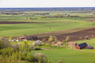 View of a rural landscape view with green fields and farms with a view towards the horizon a sunny
