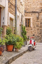 Scooter parked on a street in an idyllic city street with green plants in front of the houses on