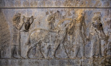Relief detail of the delegation of peoples bringing gifts to Darius on the stairs of the Apadana