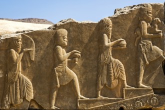 Relief detail, gifts brought to Darius the Great, staircase of the Darius Palace, Persepolis