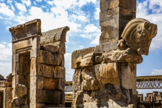 Bull Chapter, Persepolis