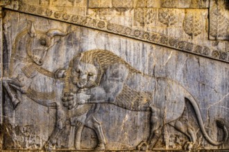 Relief lion fighting with bull, staircase of Apadana Palace, Persepolis