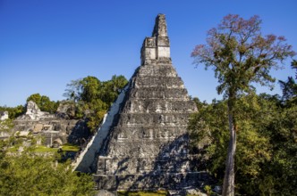 Temple 1, Temple of the Great Jaguar, Tikal, largest Mayan ceremonial complex