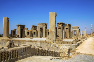 Palace of Darius, Persepolis
