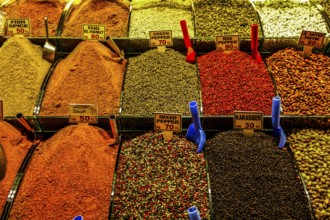 161/Egyptian bazaar with spices
