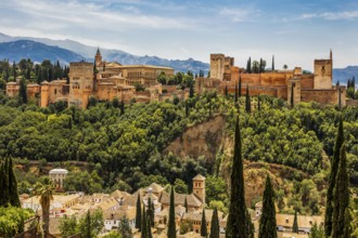 View of Alhambra with Alcazaba, Granada