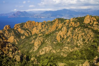 Calanche, bizarre rock formations 400 m above sea level, UNESCO World Heritage Site, Corsica,